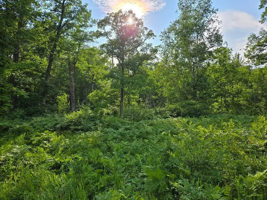 TBD State 84 Ne, Longville, MN 56655 - #2