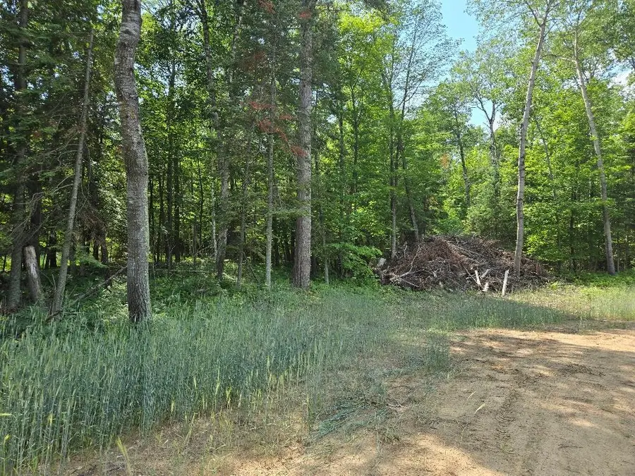TBD County 54 Ne, Longville, MN 56655 - #2