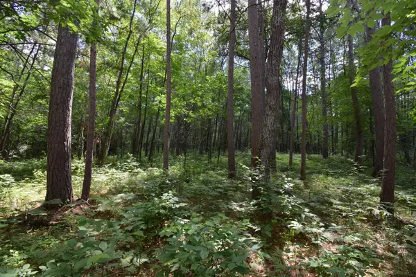 Lot 2 Saylors Lane, Siren, WI 54872