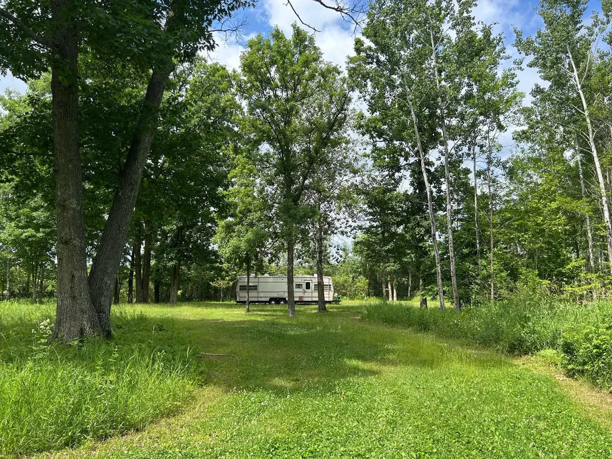11XXX State Highway 65, Williams, MN 56350 - #1