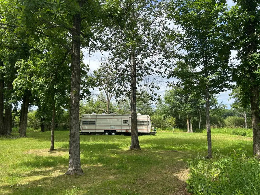 11XXX State Highway 65, Williams, MN 56350 - #2