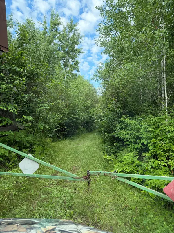 000 County Rd 56, Nashwauk, MN 55769