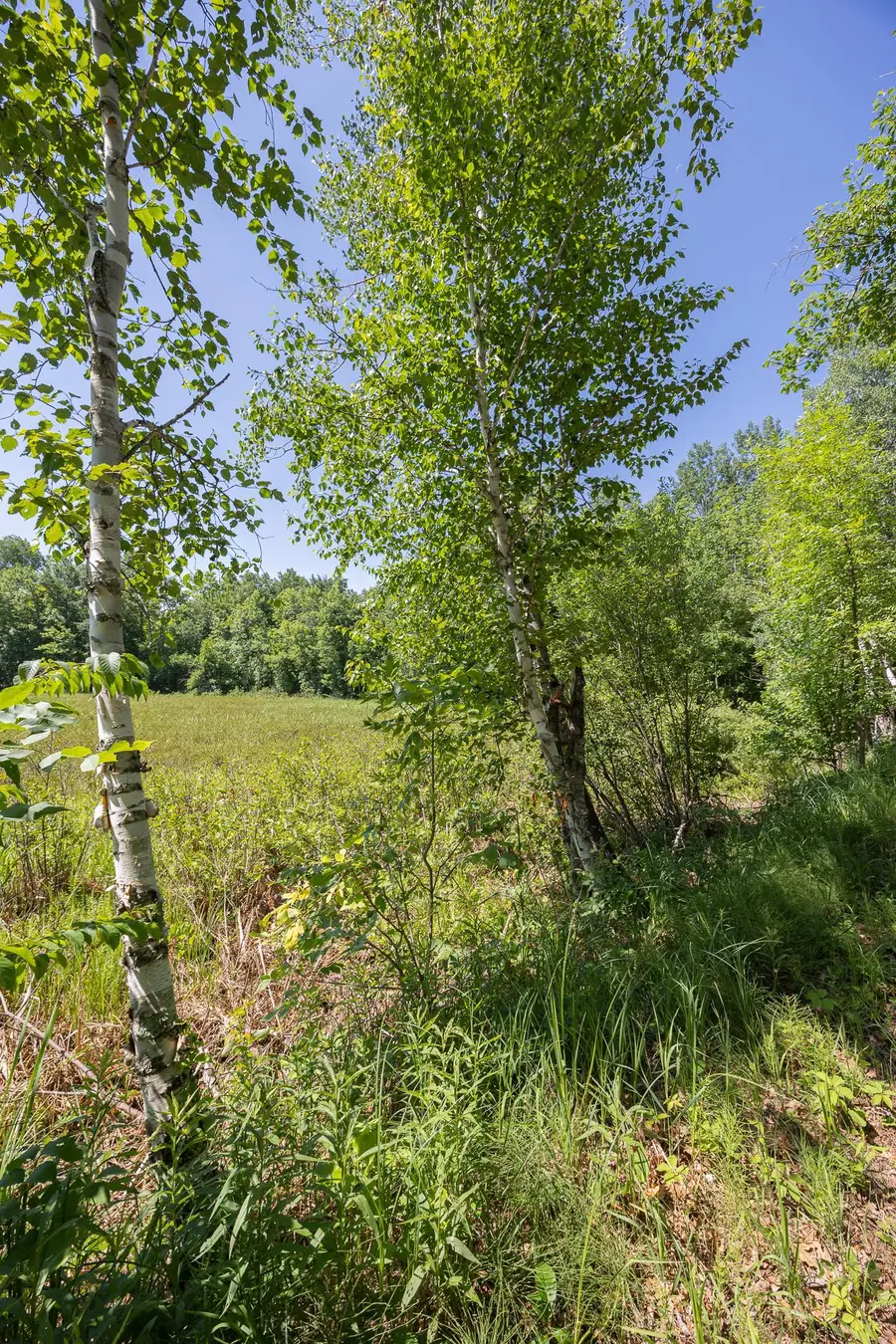 TBD County 5, Hackensack, MN 56452 - #3