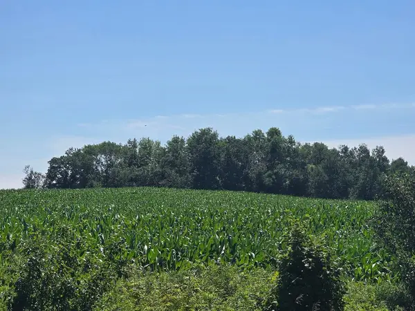 00 110 Street, Frederic, WI 54837