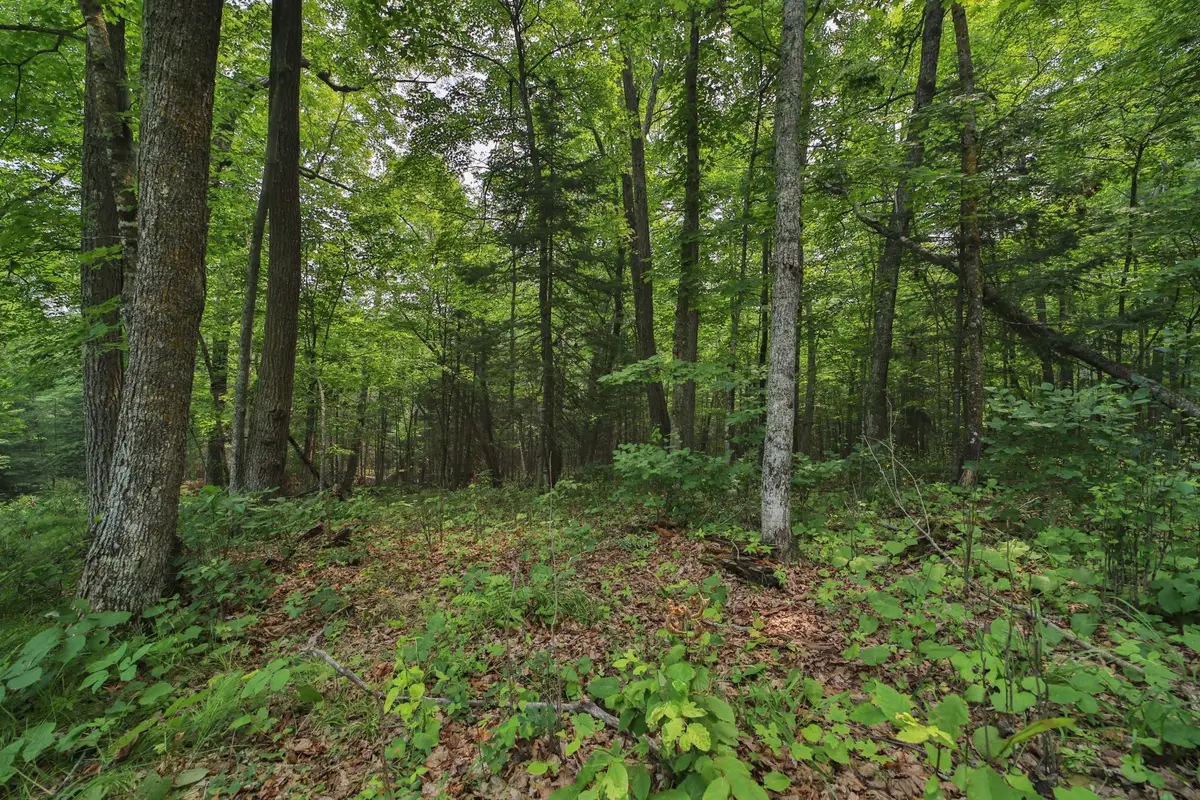 TBD Garden Ln Lane, McGregor, MN 55760 - #1
