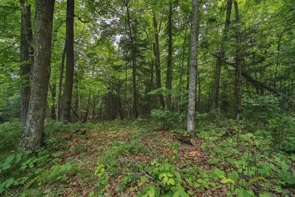 TBD Garden Ln Lane, Mcgregor, MN 55760