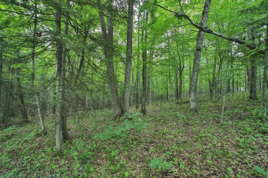 TBD Garden Ln Lane, McGregor, MN 55760 - #2