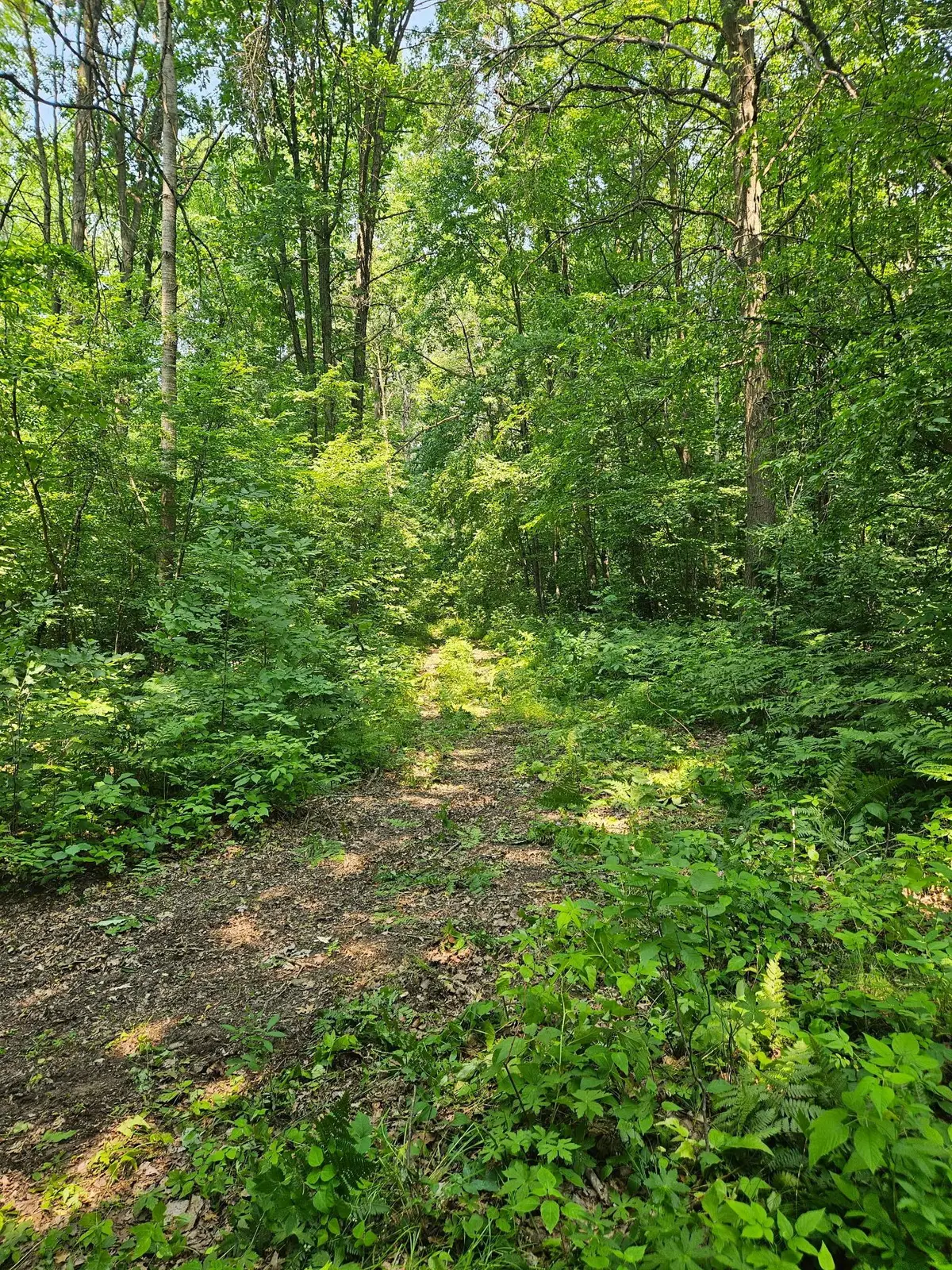 49 acres 16th Avenue, Cameron, WI 54822 - #1