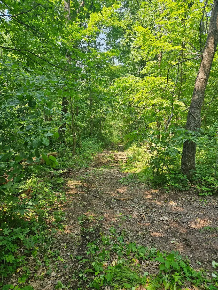 49 acres 16th Avenue, Cameron, WI 54822 - #2