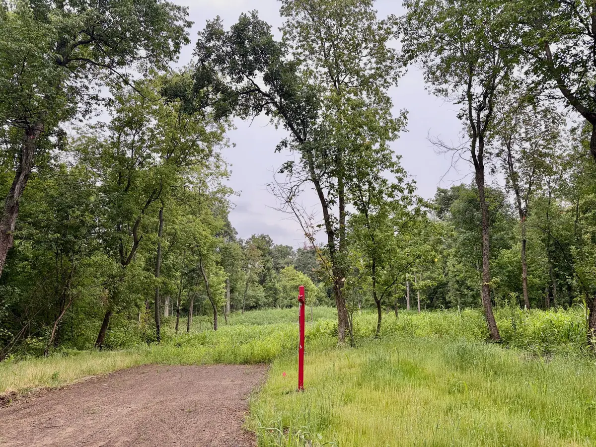 TBD (L7B2) Flamingo Street Nw, Isanti, MN 55040 - #1