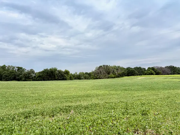 TBD (L13B2) County Road 5 Nw, Isanti, MN 55040