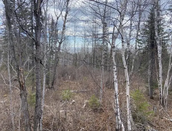 000 Aspen Lane, Silver Bay, MN 55614