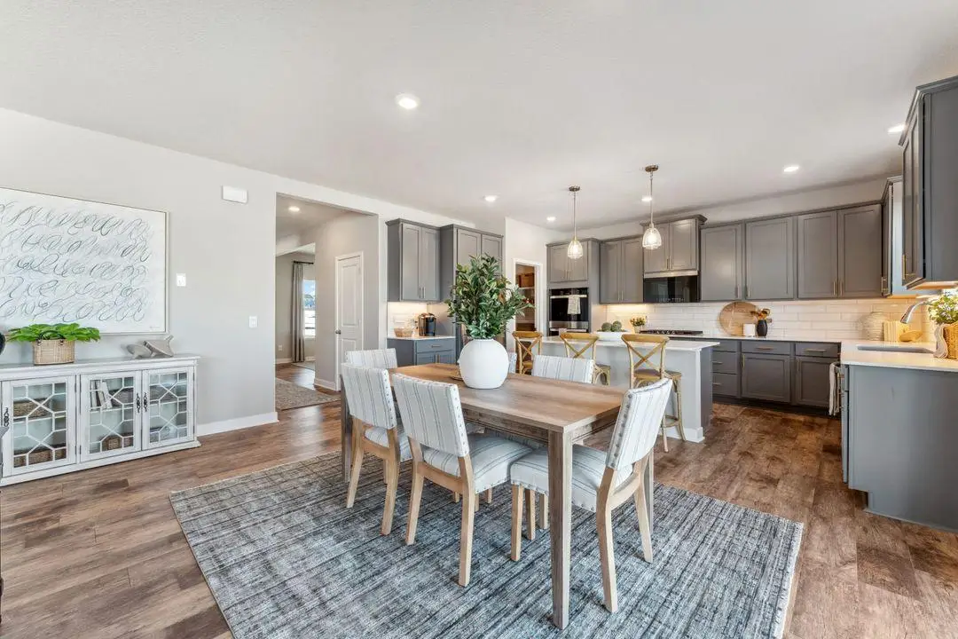 1721 Oak Creek Pass, Chaska, MN 55318 - #1