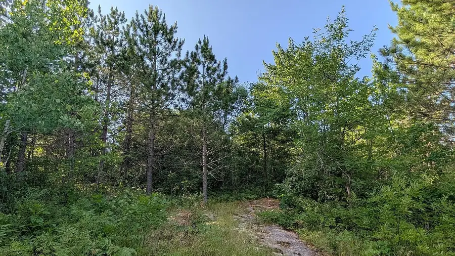 7952 Highway 24, Orr, MN 55771 - #3