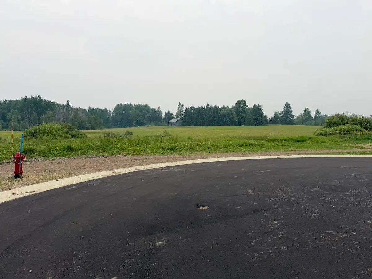 Lot 1, Blk 1 Eldien Dr Brook, Cook, MN 55723 - #1