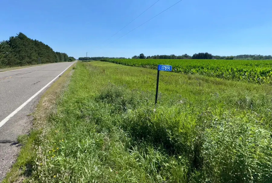 17891 90th Avenue, Milaca, MN 56353 - #3