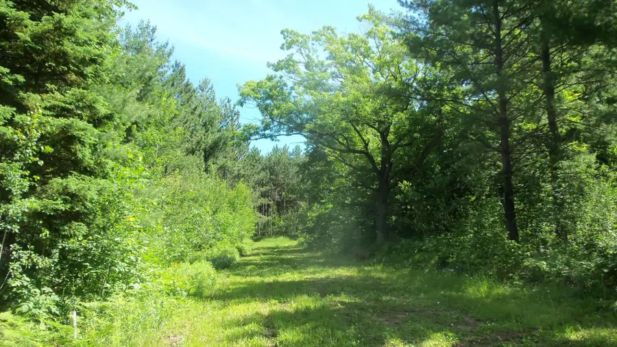 XXX Bashaw Store Rd, Shell Lake, WI 54871 - #2