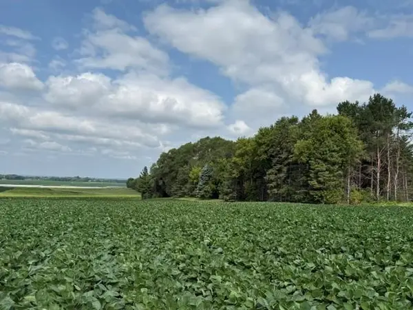 Lot B Lehigh Road, Cottage Grove, MN 55016