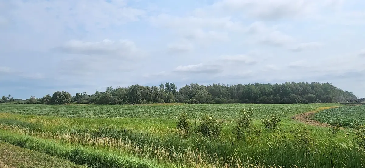 TBD 330th Avenue Ne, Goodridge, MN 56725 - #1