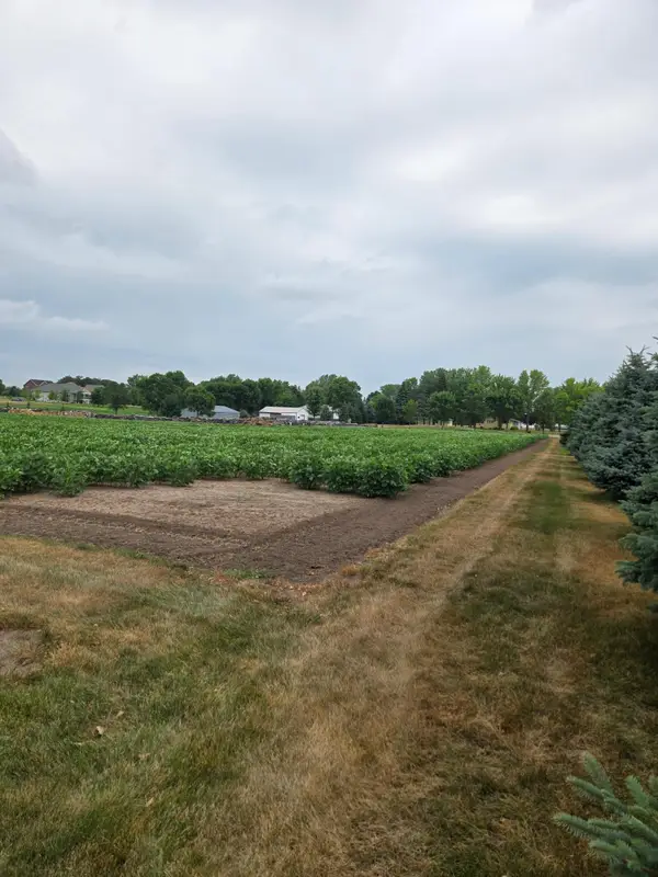 1164 3rd Street S, Sartell, MN 56377