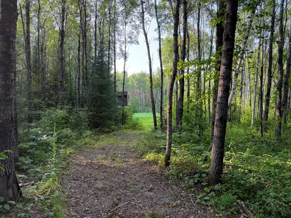 XX County Rd 1, Emily, MN 56447