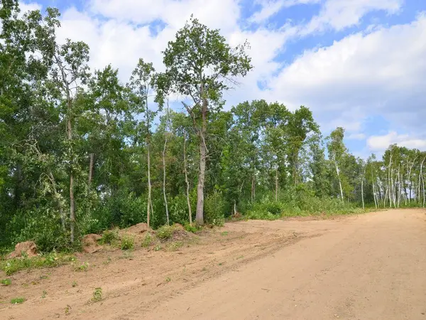 XXX Firewood Trail, Park Rapids, MN 56470