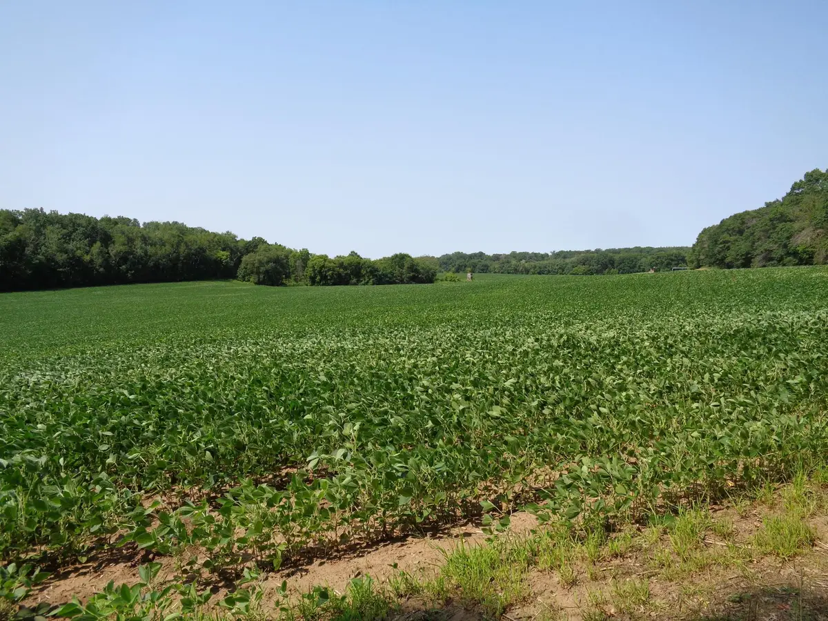 XXX 250th Street, Saint Croix Falls, WI 54024 - #1