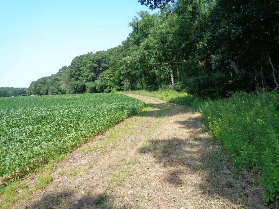 XXX 250th Street, Saint Croix Falls, WI 54024 - #2