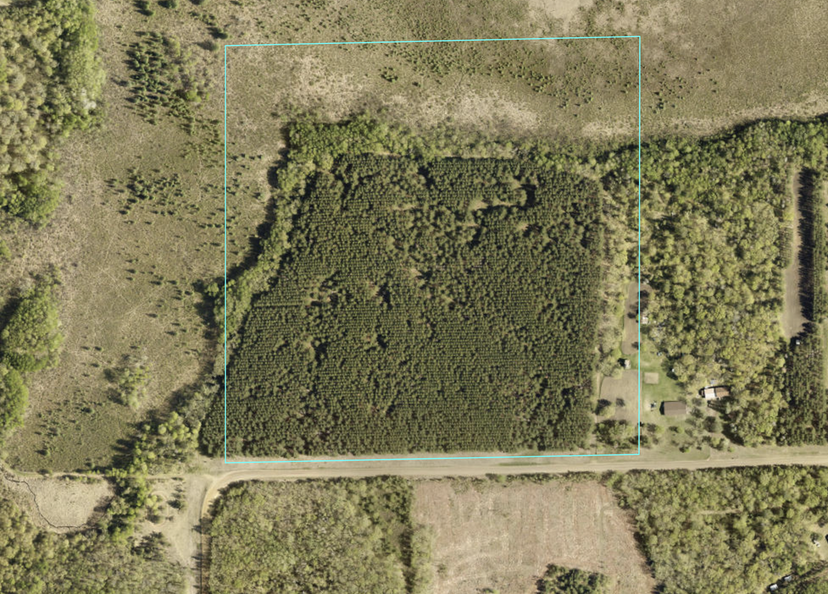 XXX Jenkins, Motley, MN 56466 - #1