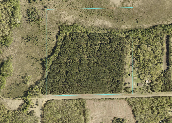 XXX Jenkins, Motley, MN 56466