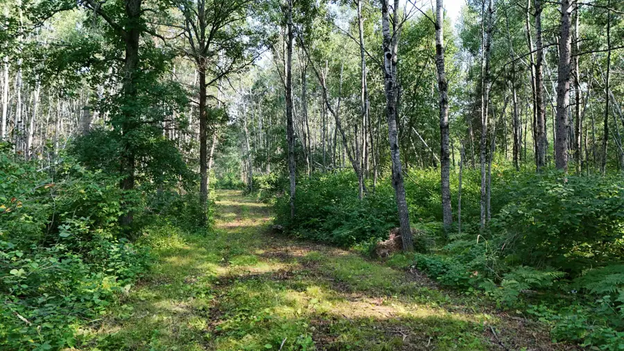 TBD Fredenburg Rd Sw, Solway, MN 56678 - #2
