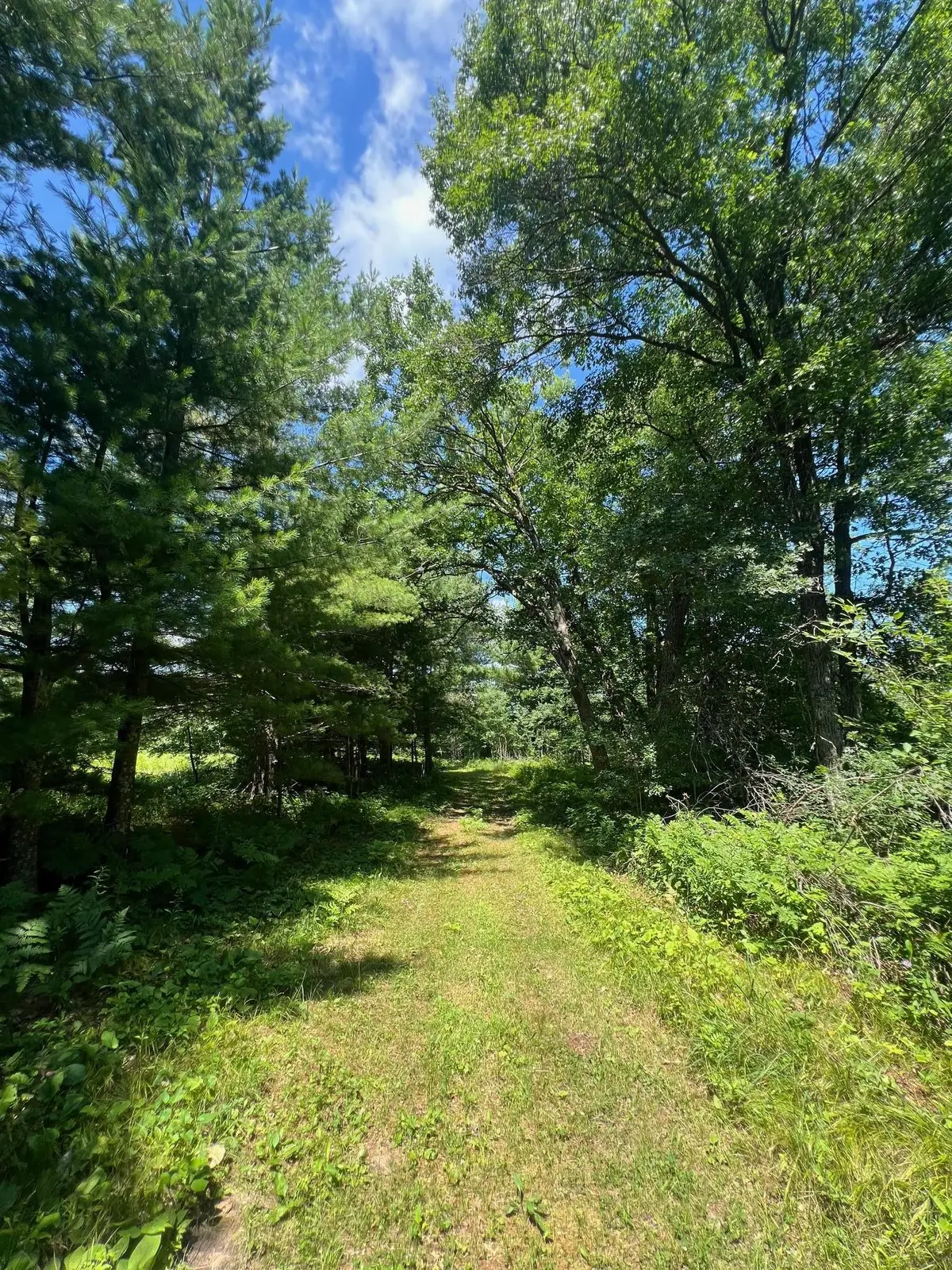 xxxxx Lily Lake Inn Road, Webster, WI 54893 - #1