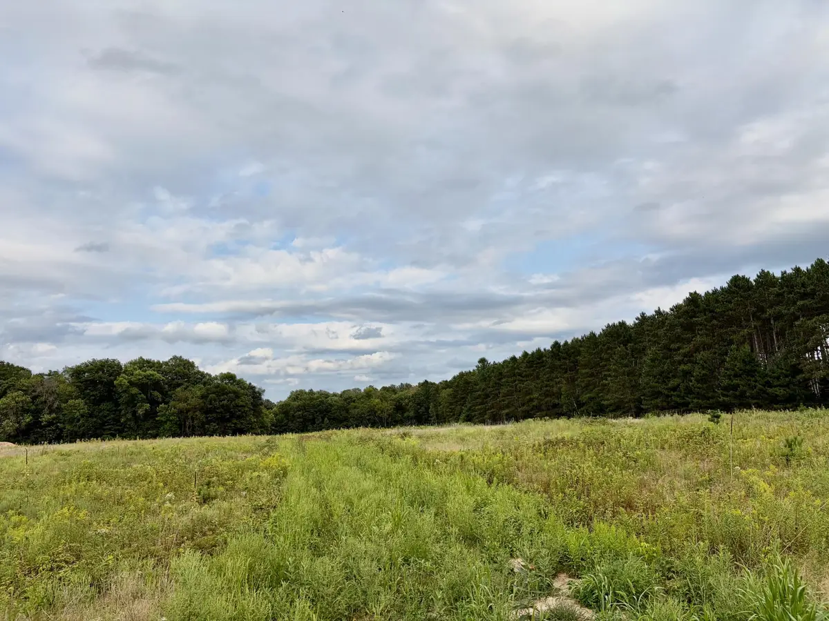 (Lot 3) TBD Tulip Street Nw, Stanchfield, MN 55080 - #1