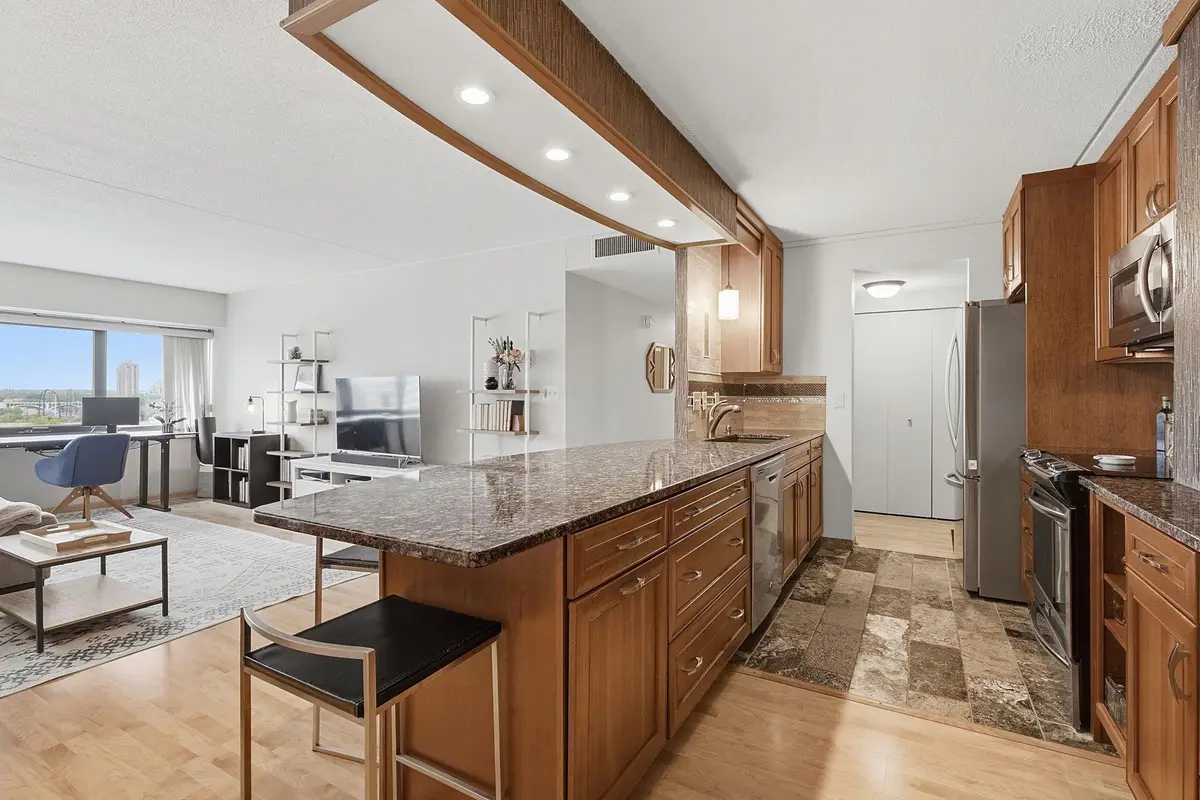 1920 S 1st Street #802, Minneapolis, MN 55454 - #1