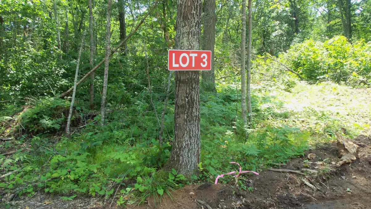 Lot 3 Jbirch Tree Trl, Spooner, WI 54801 - #1