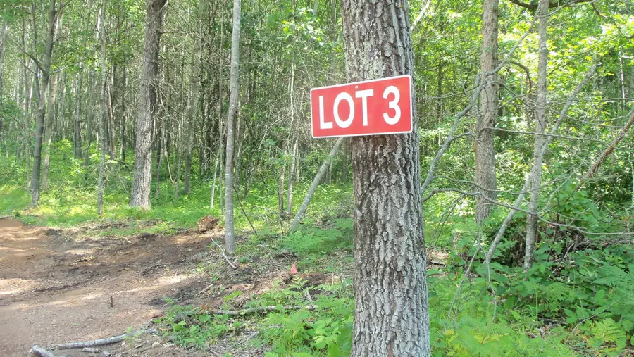 Lot 3 Jbirch Tree Trl, Spooner, WI 54801 - #2
