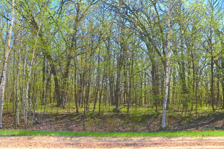 TBD 392 Street, Browerville, MN 56438 - #2