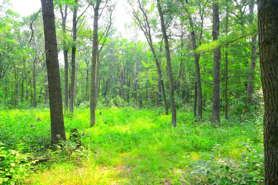 38970 Odin Court, Browerville, MN 56438 - #3