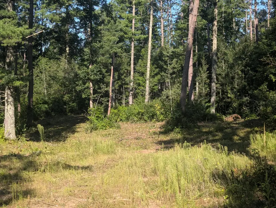 3380 W Highway 63, Springbrook, WI 54875 - #2