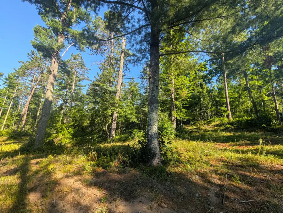 3380 W Highway 63, Springbrook, WI 54875 - #3