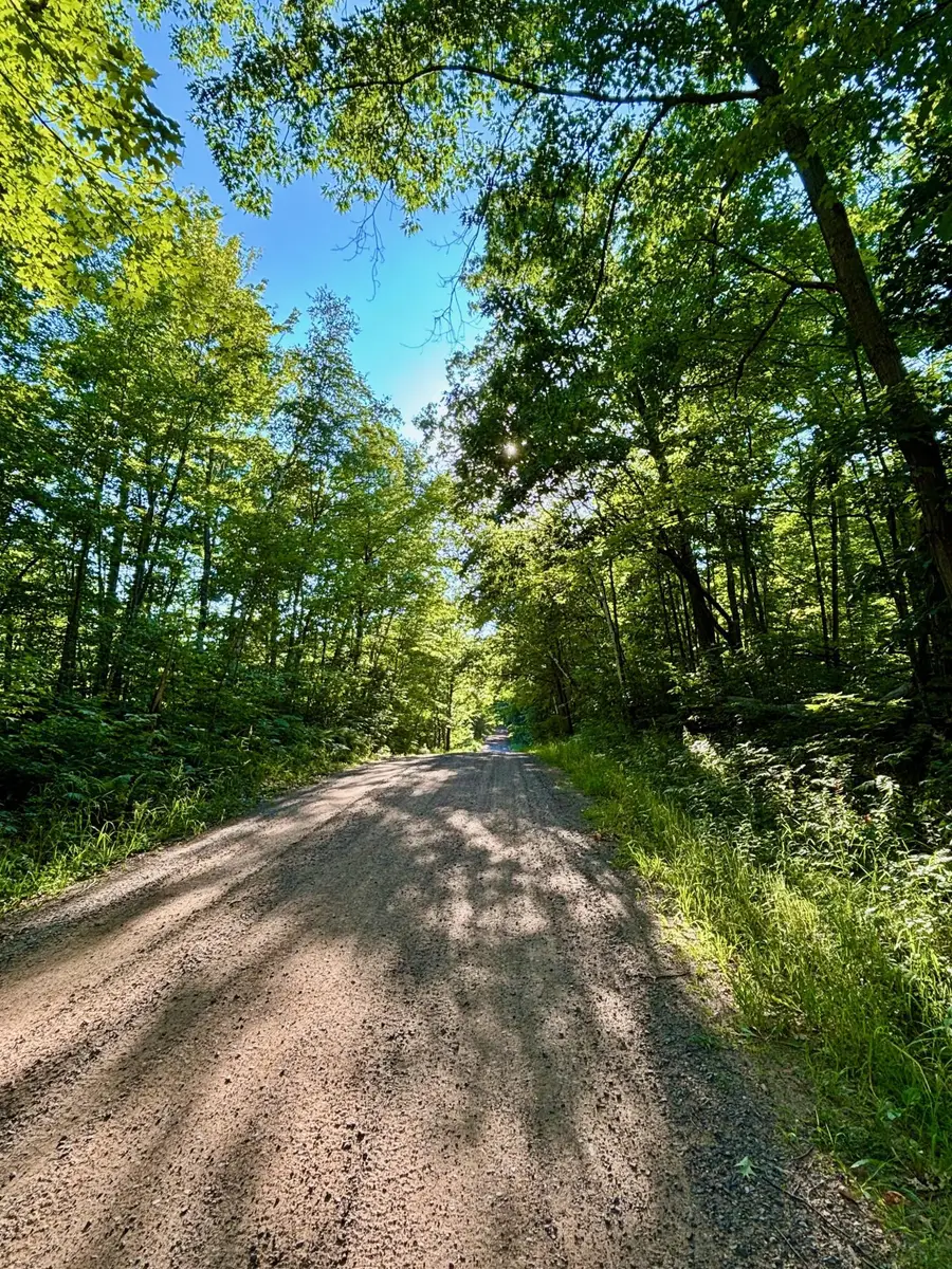 TBD Chippewa Trail, Luck, WI 54853 - #3