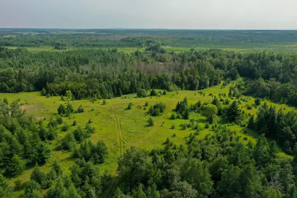 TBD Wilderness Drive, Frazee, MN 56544
