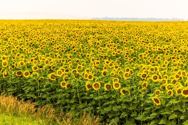 TBD Sec 24 31 St Se Lot 2, , ND 58639