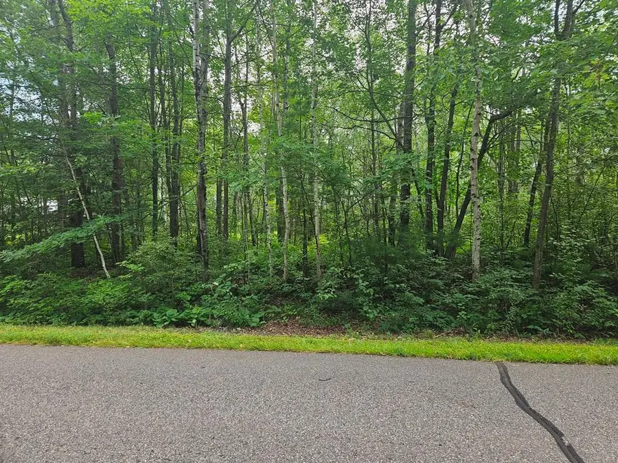 Lot 3 Blk 2 SW 1st Avenue, Grand Rapids, MN 55744 - #3