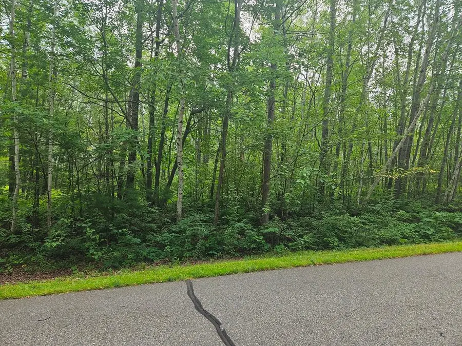 Lot 4 Blk 2 SW 1st Avenue, Grand Rapids, MN 55744 - #2