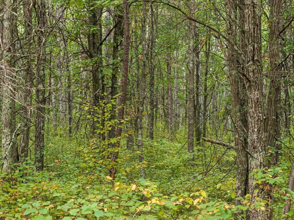Lot F Sandbar Lane, Merrifield, MN 56465 - #1