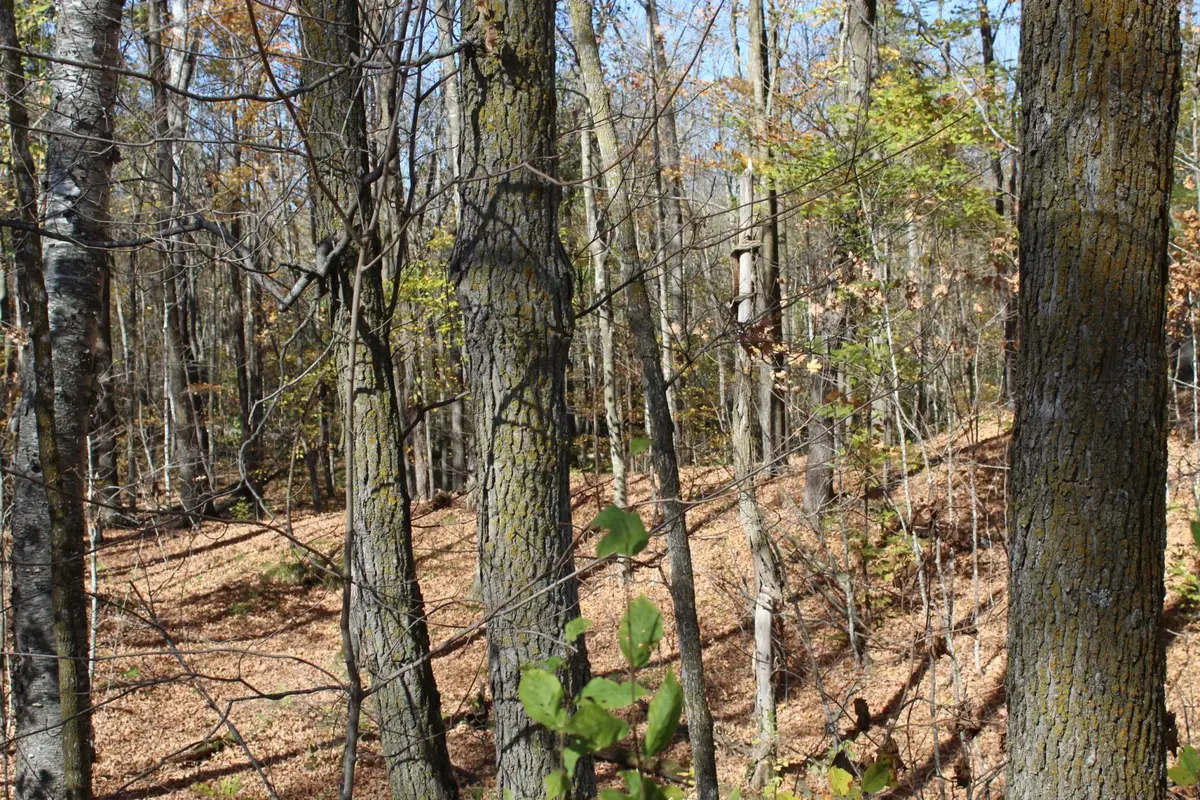 TBD Woods Road, Isle, MN 56342 - #1