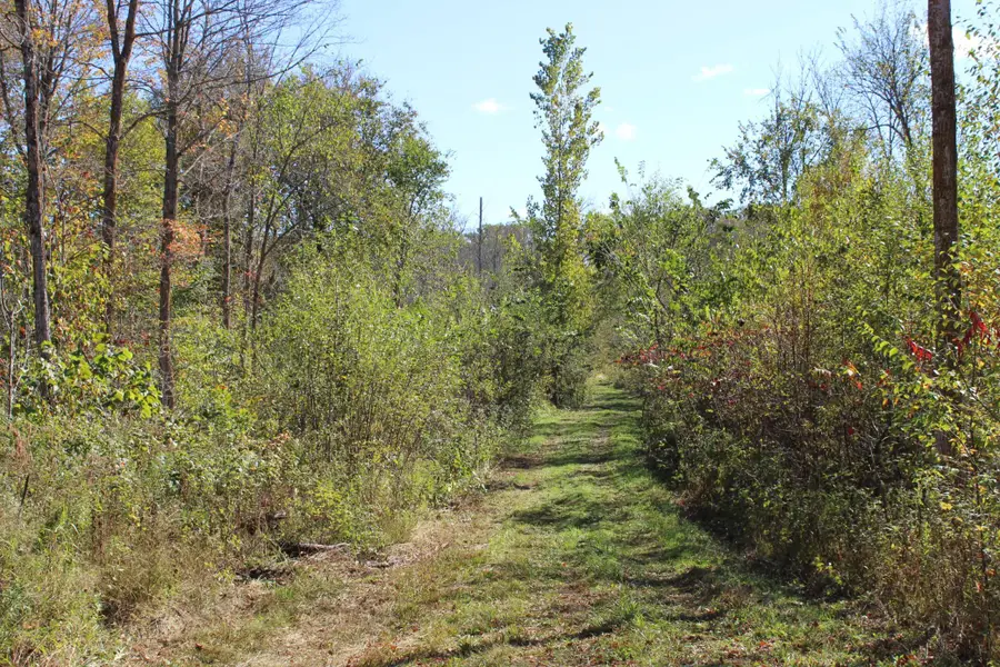 TBD Woods Road, Isle, MN 56342 - #3