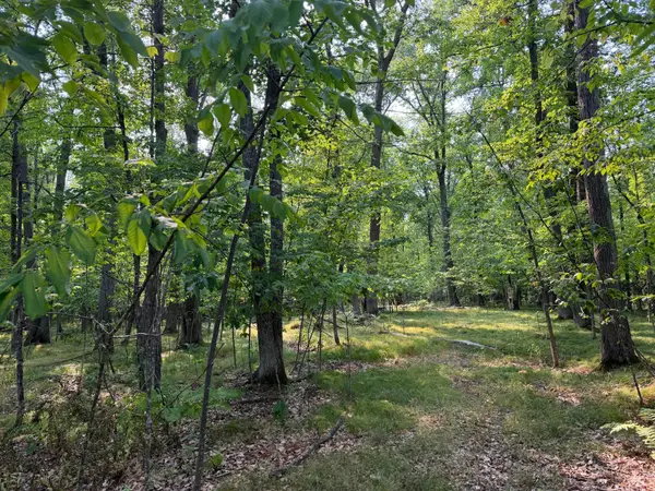 81871 Schoumaker Road, Willow River, MN 55795