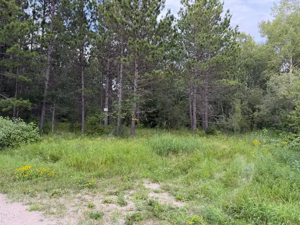 4788 Town Road, Ray, MN 56669